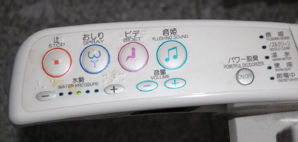 How to Flush a Japanese Toilet