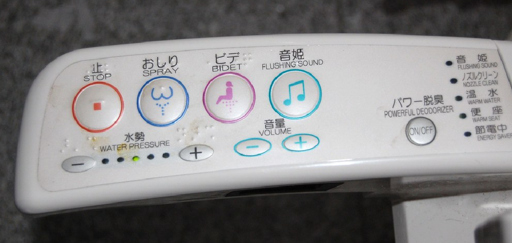 How to Flush a Japanese Toilet