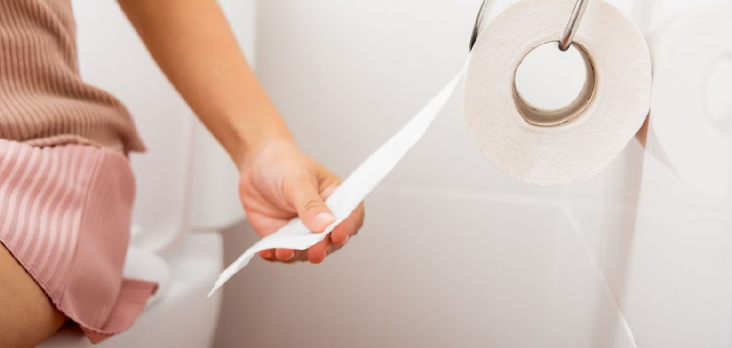 How to Use Toilet Paper