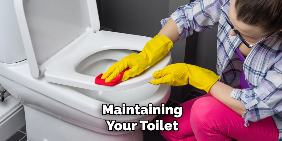 Maintaining
Your Toilet