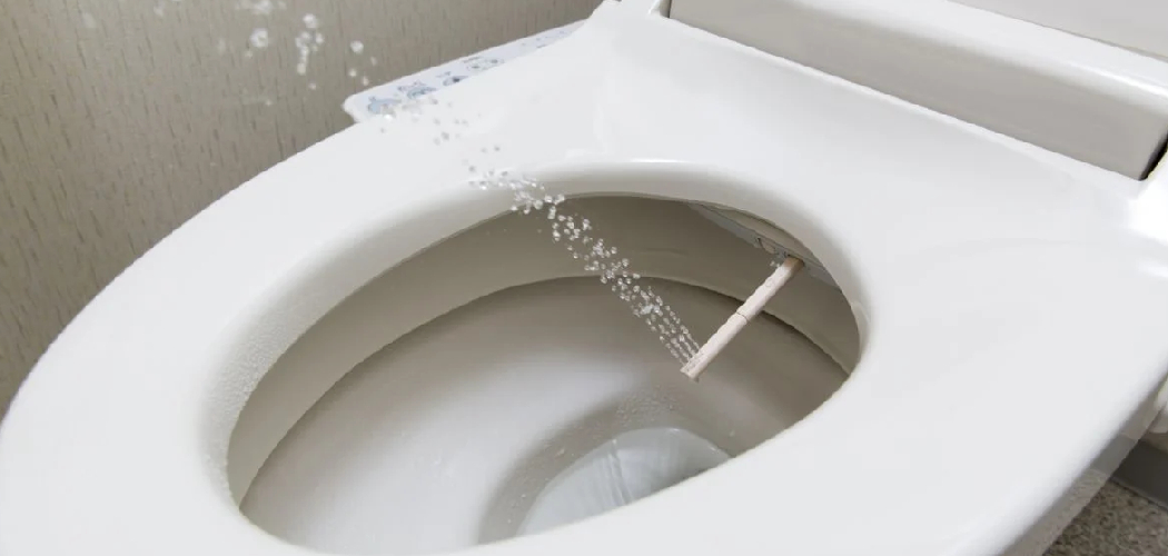 Remove Bidet Seat