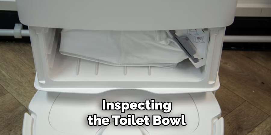 Inspecting the Toilet Bowl