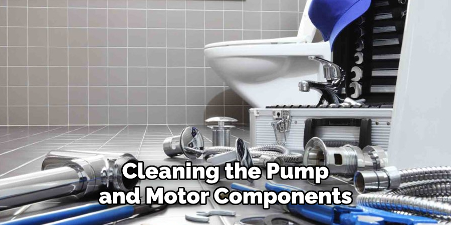 Cleaning the Pump and Motor Components