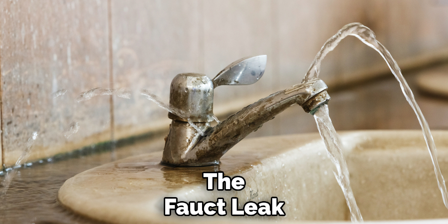 The
Fauct Leak