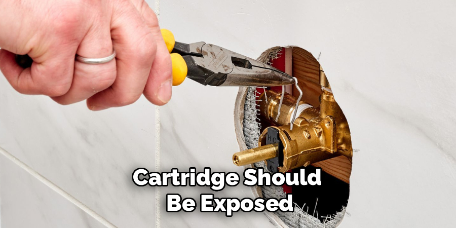 Cartridge Should
Be Exposed