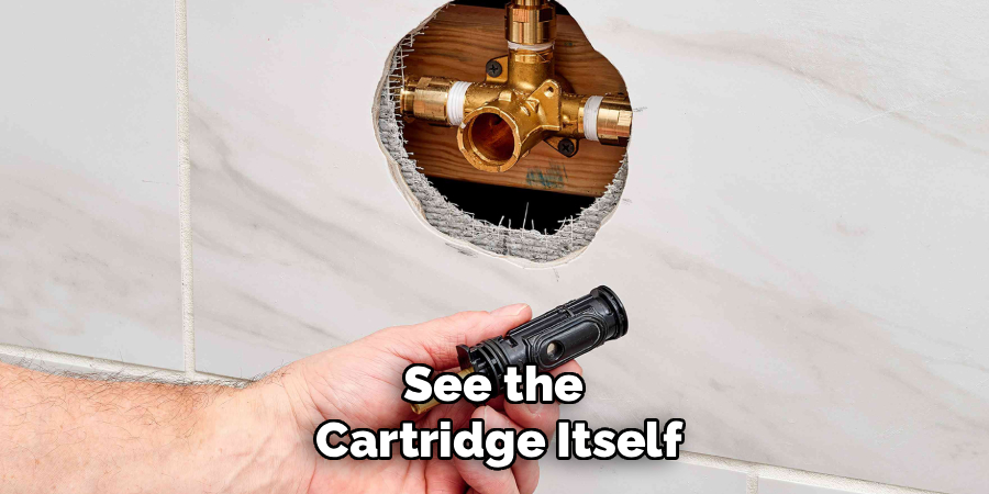 See the
Cartridge Itself